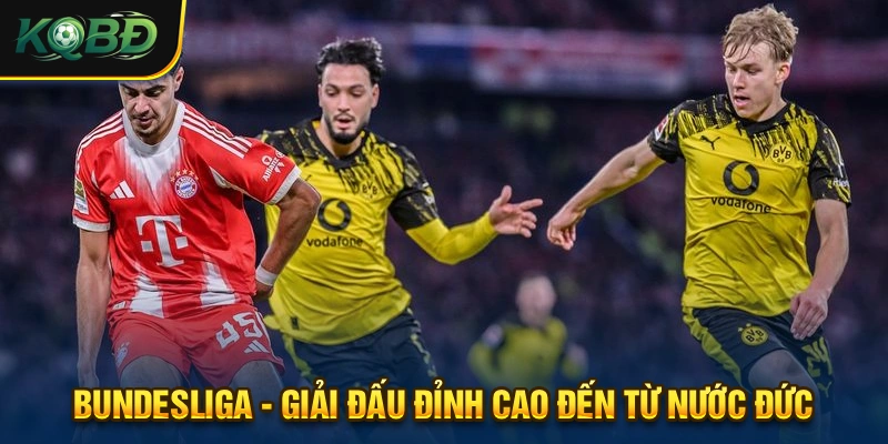 KQBD varios.io - Kết Quả Bóng Đá & Tỷ Số Trực Tuyến Hôm Nay 16 Bundesliga luôn được theo dõi kết quả từ hàng ngàn lượt truy cập mỗi ngày